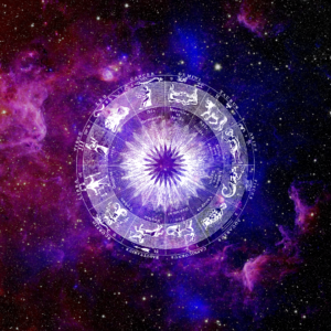 Interactive Live Classes